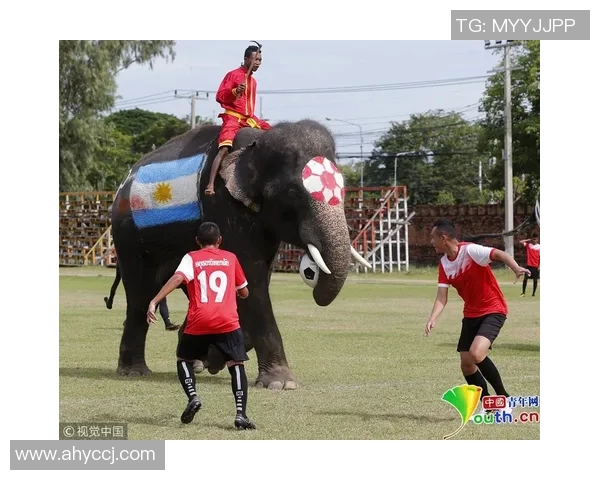 当今足球界最耀眼的明星们谁能称霸绿茵场的巅峰之战