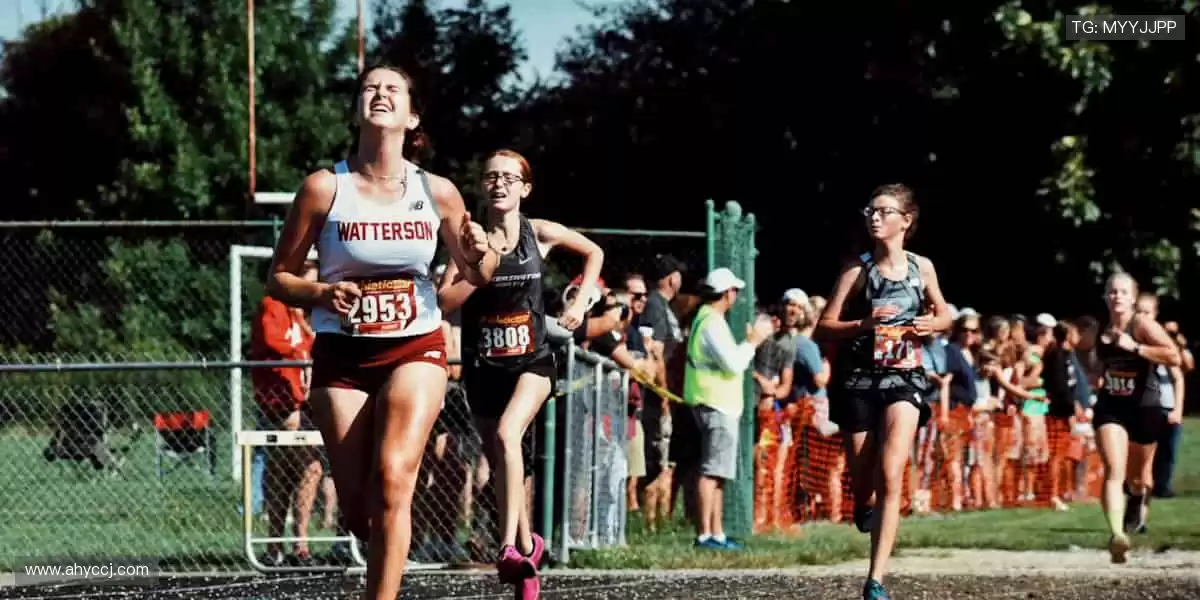 运动装备一站式,品质与颜值并存!🛒🔥